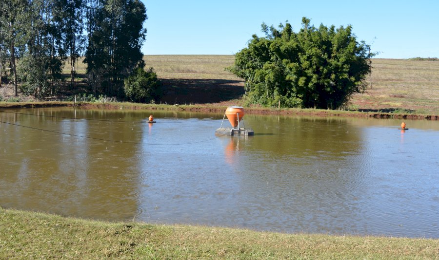 Nota Técnica | Estratégias de manejo na produção de tilápias durante o inverno - Parte I