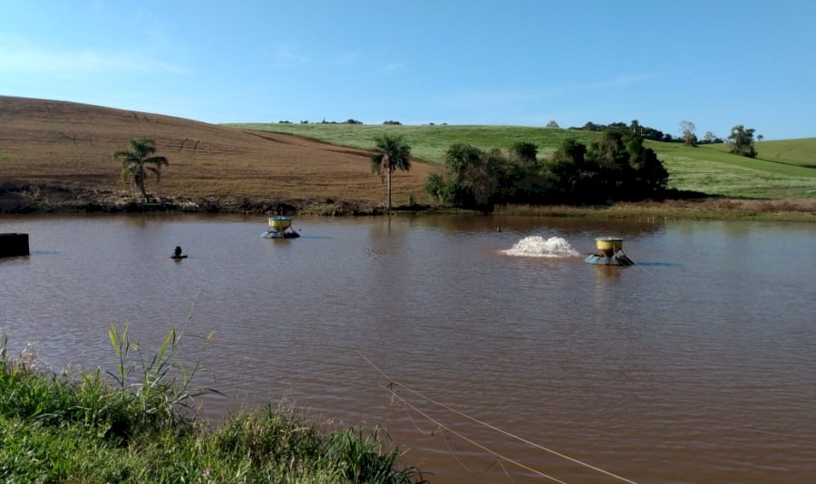 Nota Técnica | Estratégias de manejo na produção de tilápias durante o inverno - Parte II