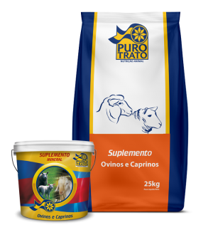 Caprinos e Ovinos