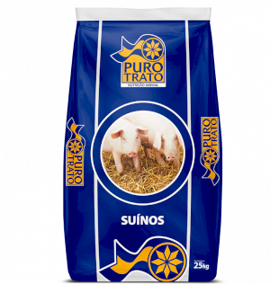 Puro Suíno Engorda